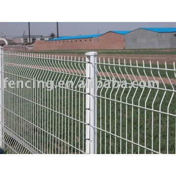 Wire Mesh Fence